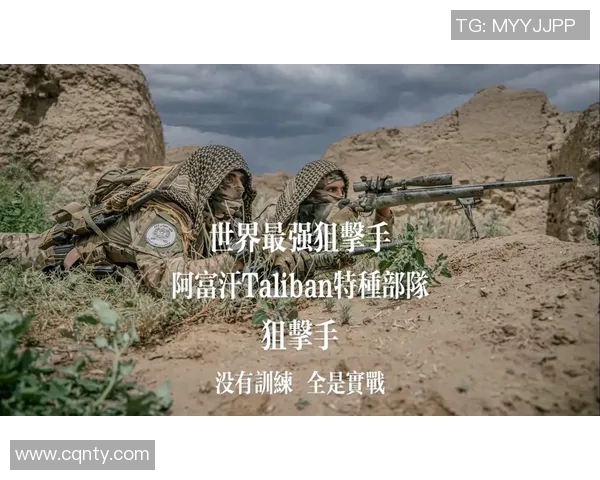 在激烈对抗中whzy狙击手一举狙掉三人展现超凡技术与团队配合